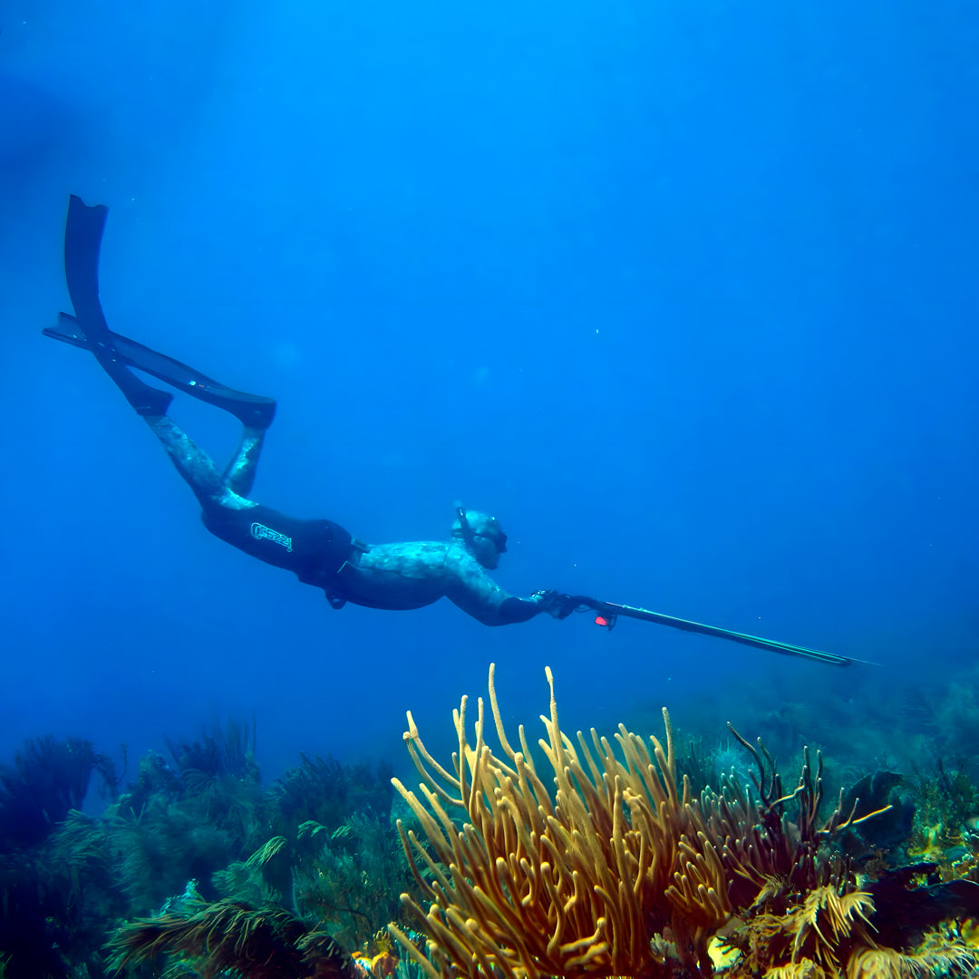 Tasmania Spearfishing Course