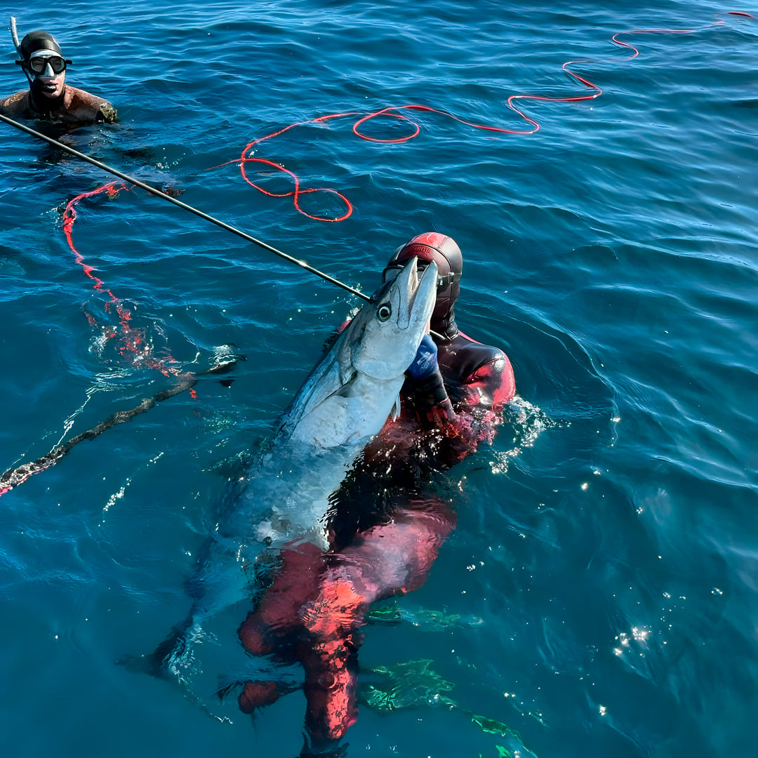 Tasmania Spearfishing Course