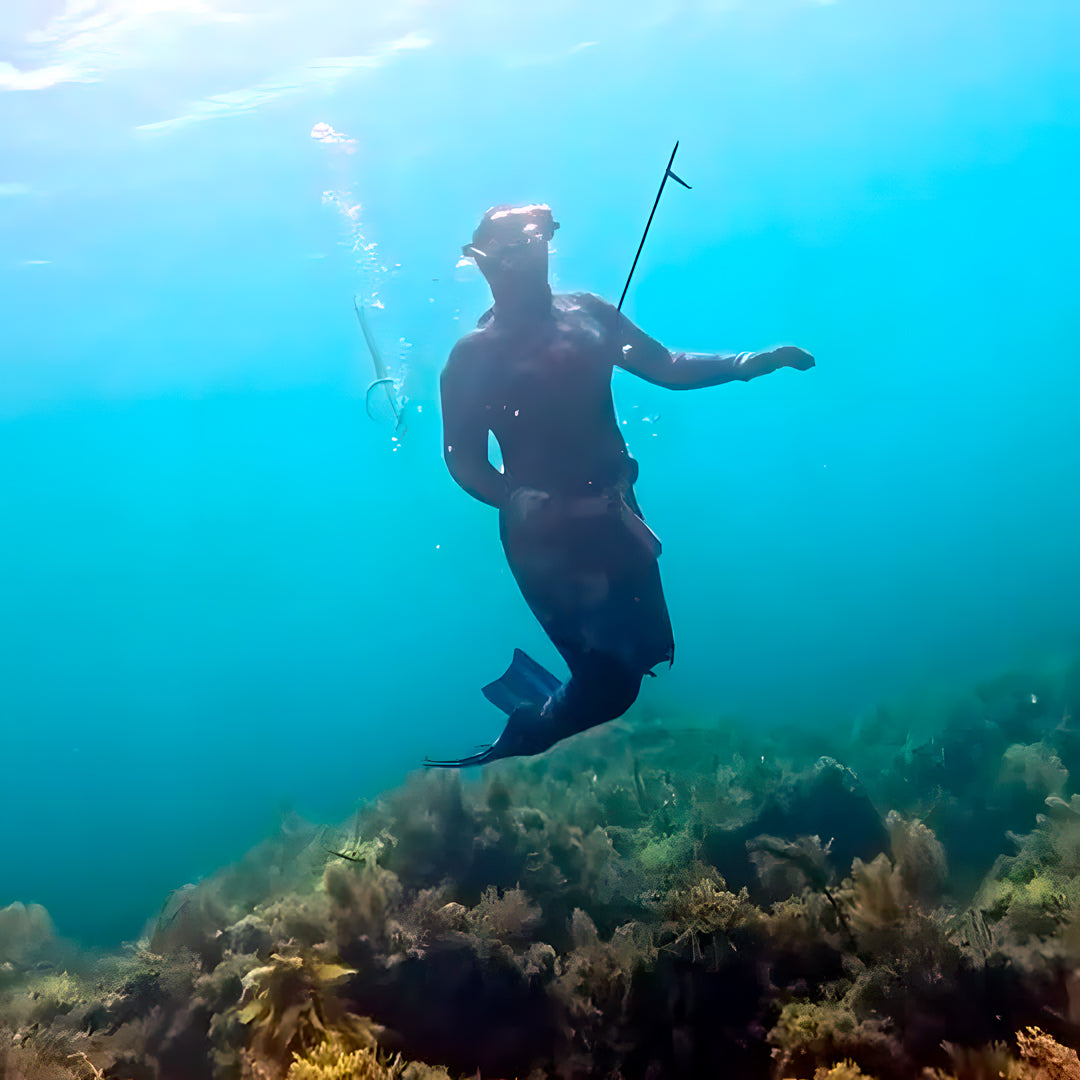 Tasmania Spearfishing Course