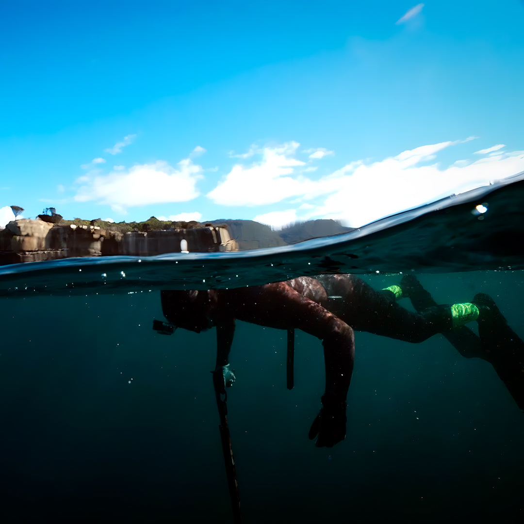 Tasmania Spearfishing Course