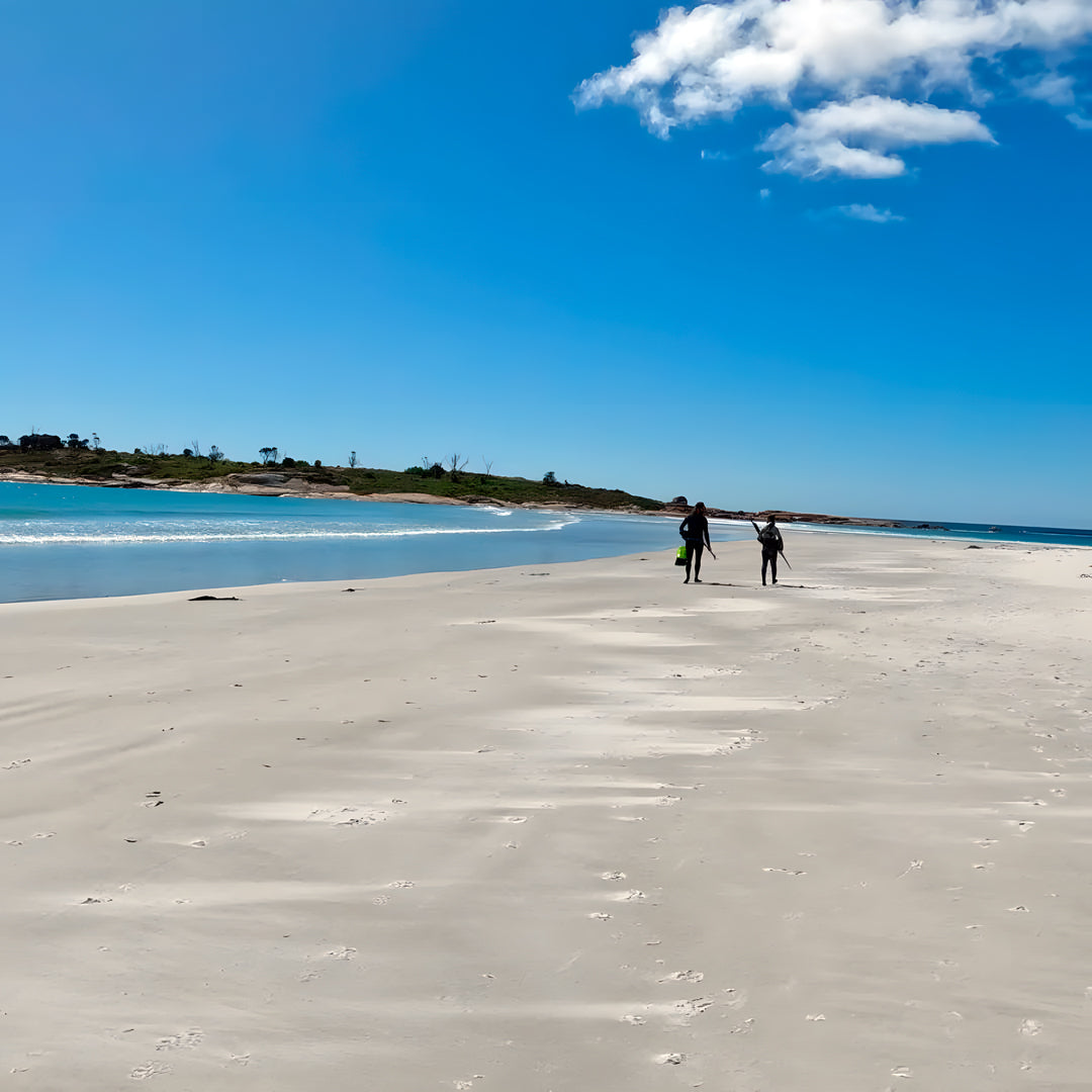 Tasmania Spearfishing Course