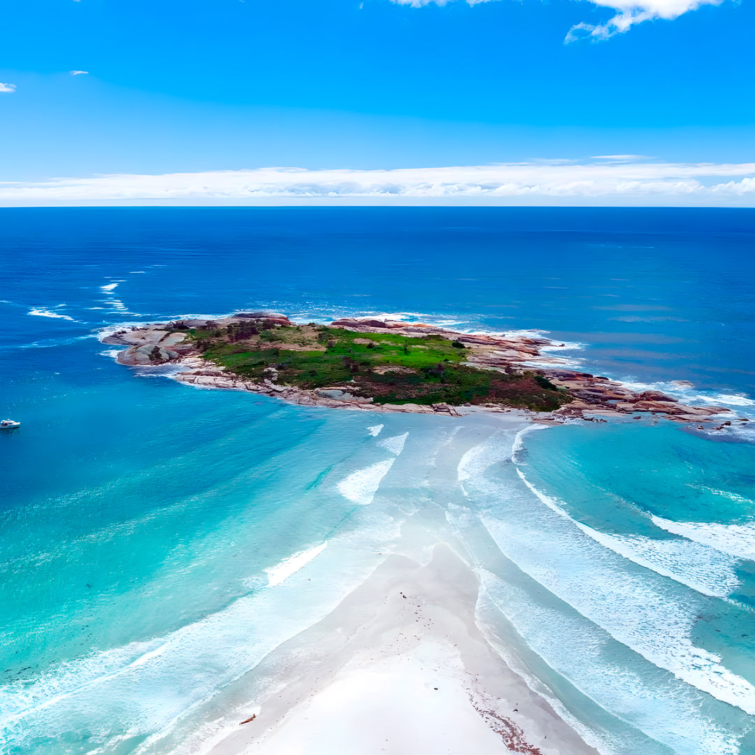 Tasmania Spearfishing Course