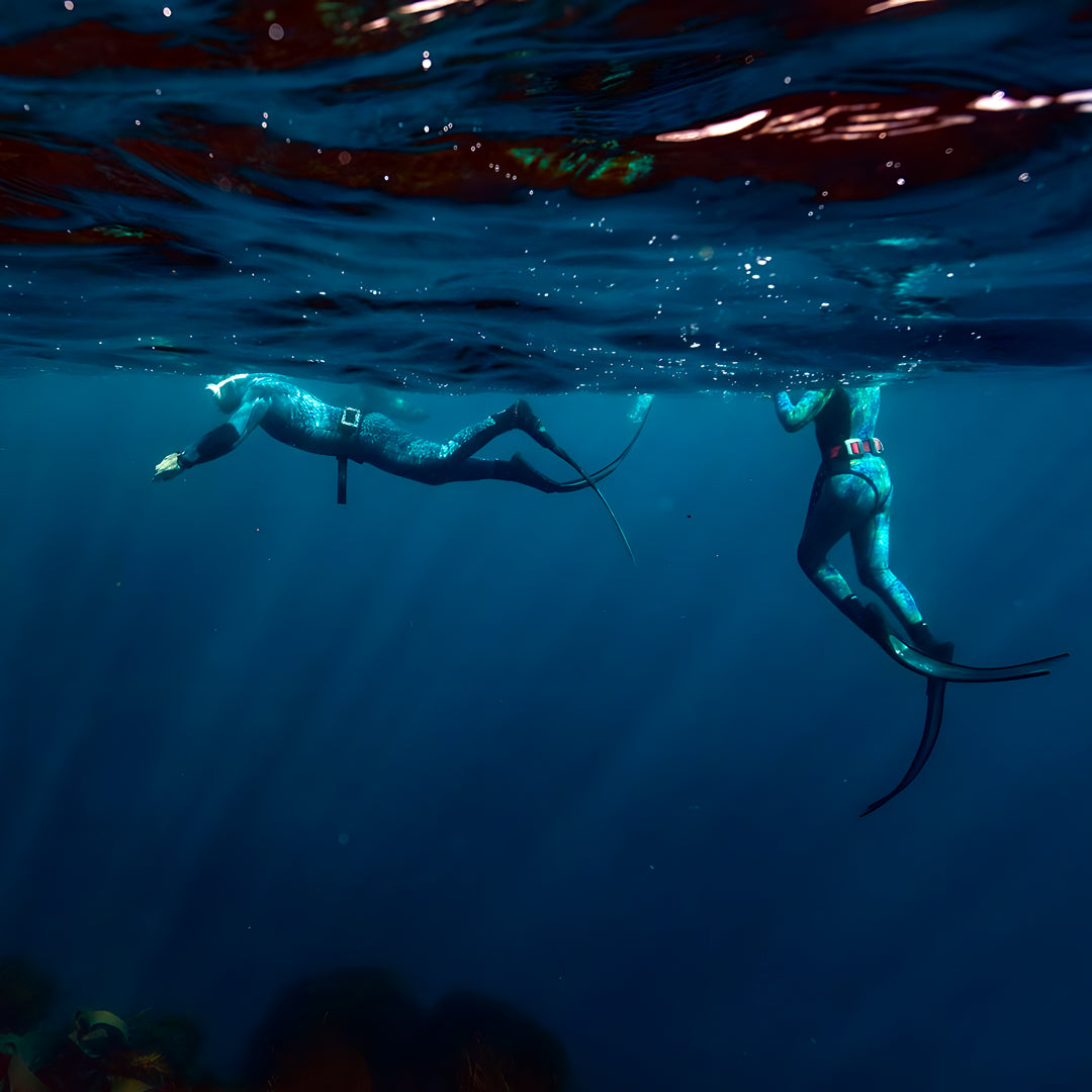 Tasmania Spearfishing Course