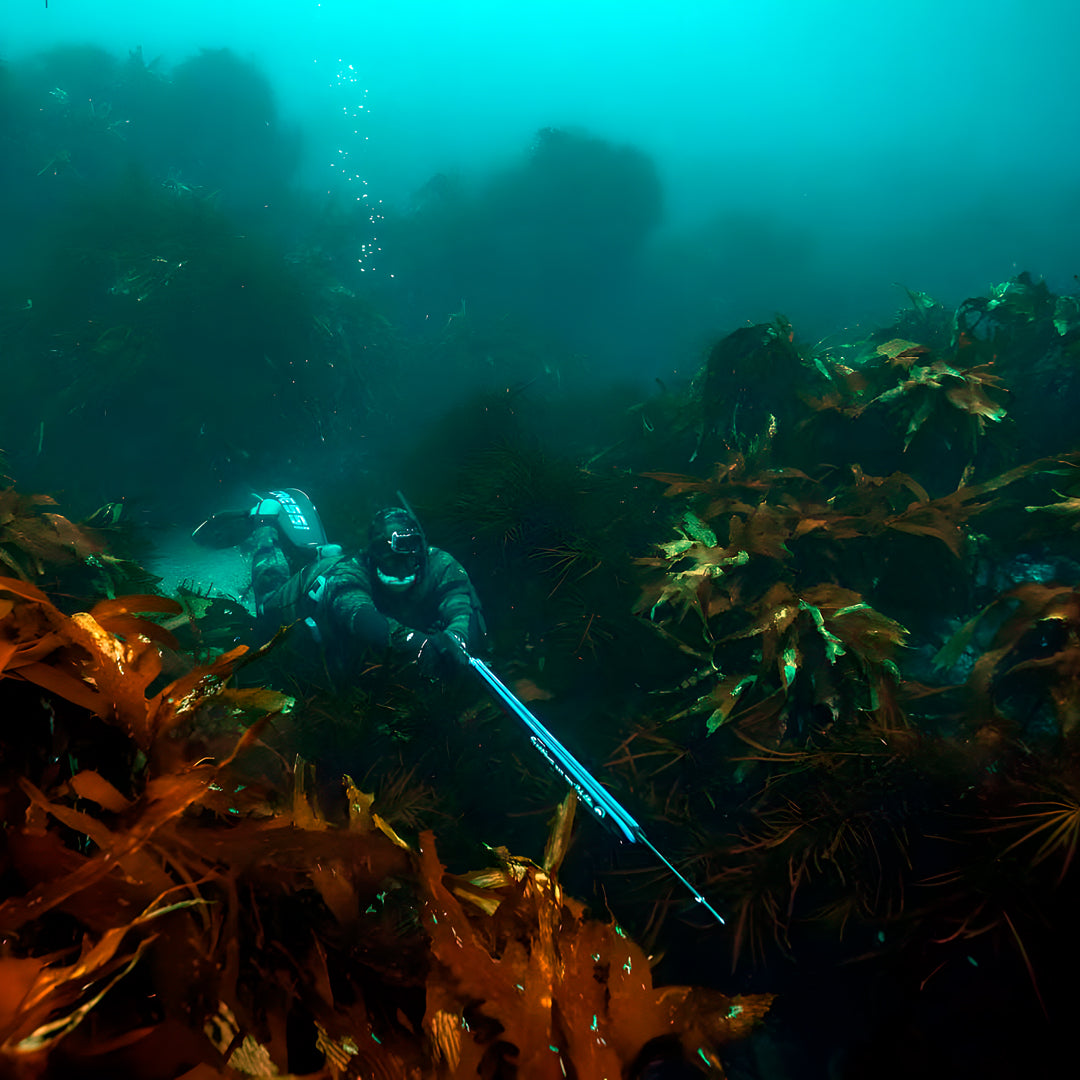 Tasmania Spearfishing Course