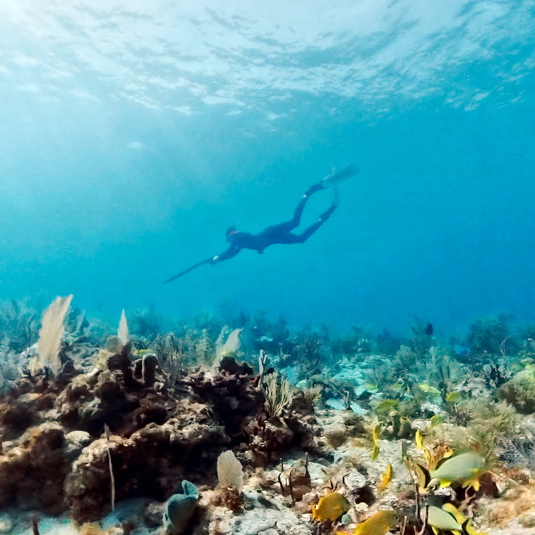 Florida Keys Group Spearfishing Charter