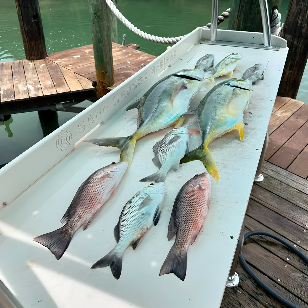 Florida Keys Group Spearfishing Charter