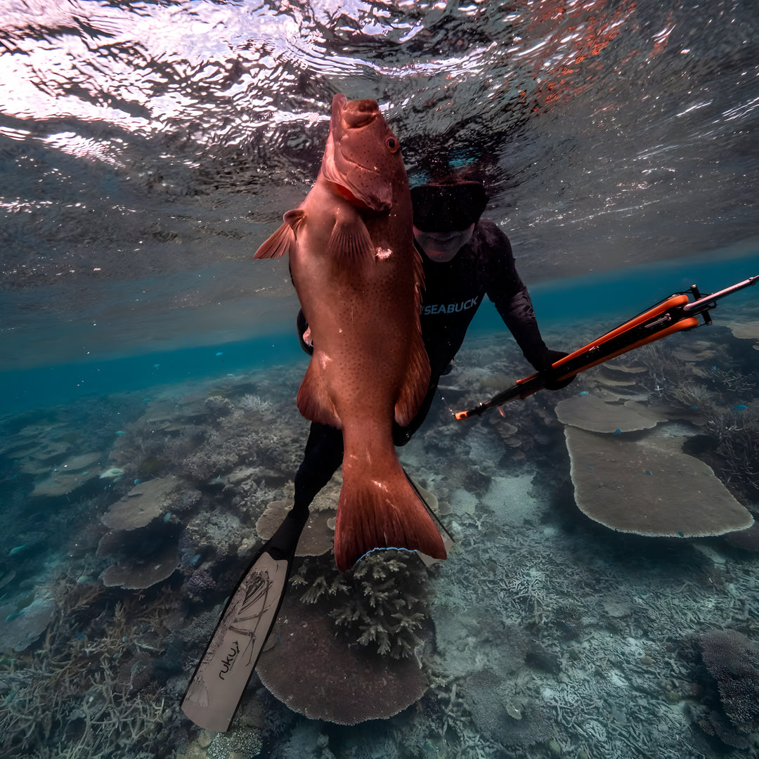 Beginner Spearfishing Retreat Course