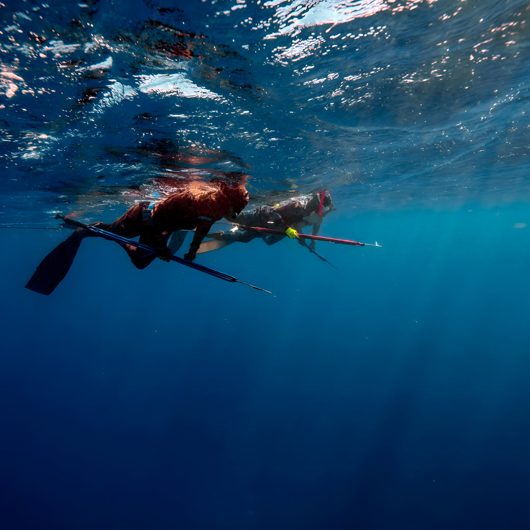 Beginner Spearfishing Retreat Course
