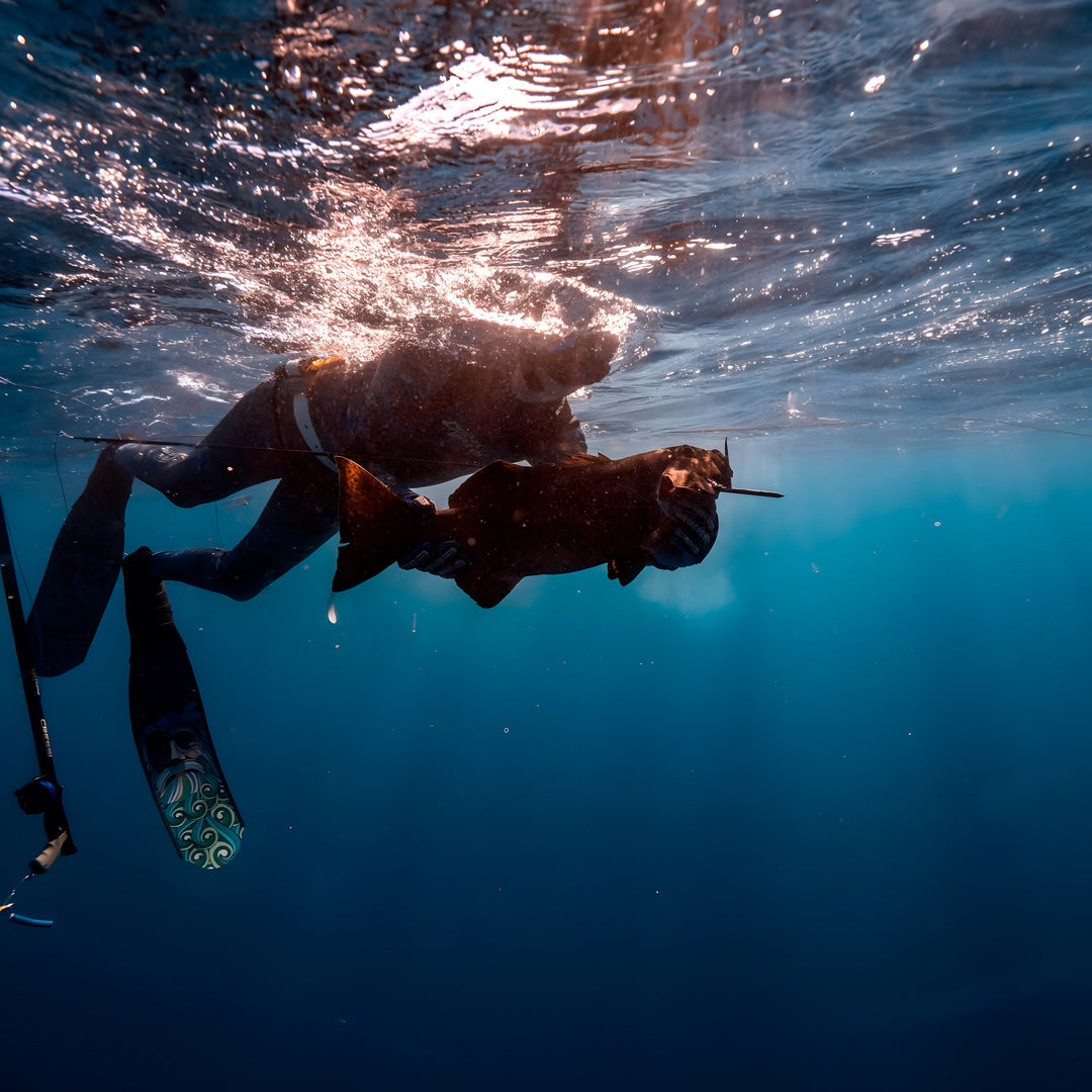 Beginner Spearfishing Retreat Course