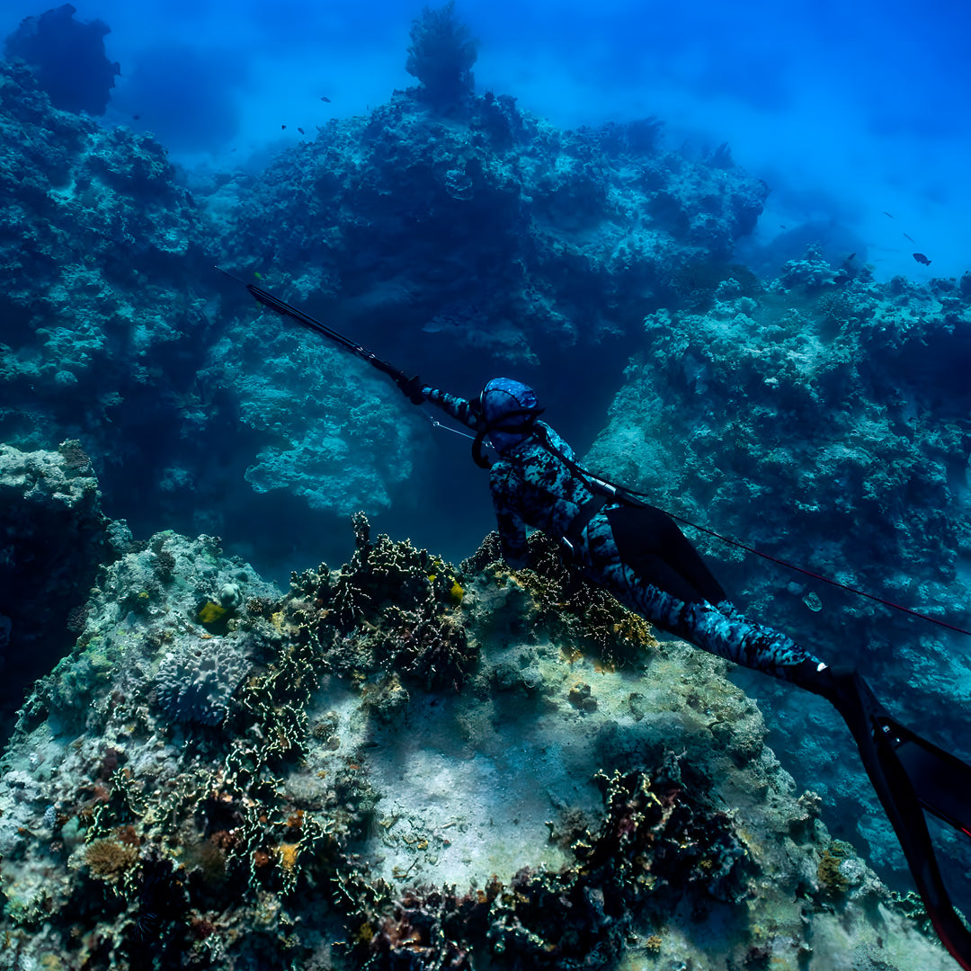 Beginner Spearfishing Retreat Course