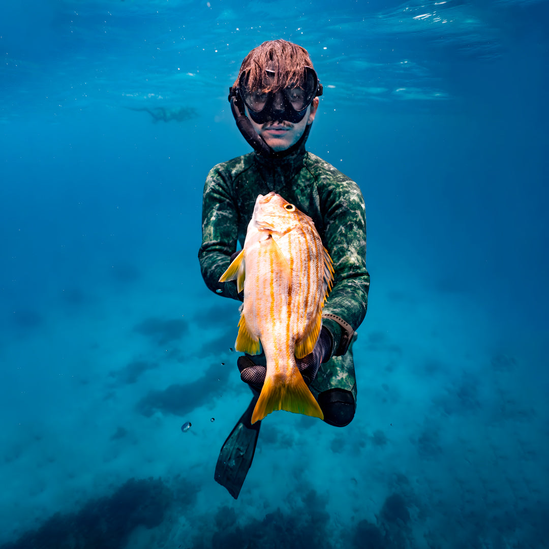 Beginner Spearfishing Retreat Course