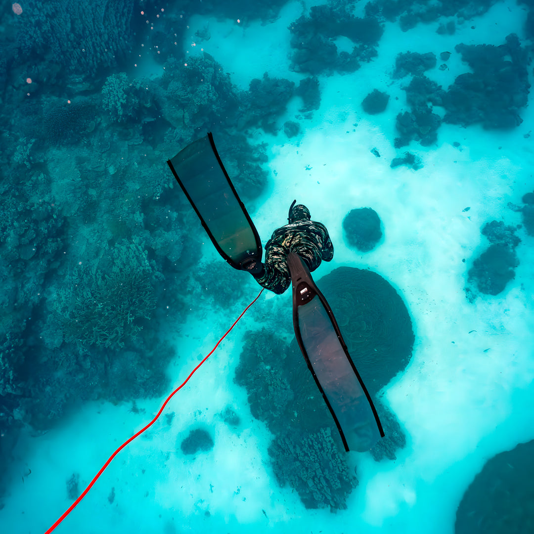 Beginner Spearfishing Retreat Course