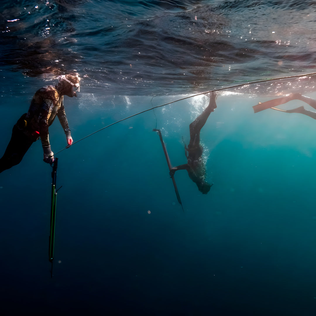 Beginner Spearfishing Retreat Course