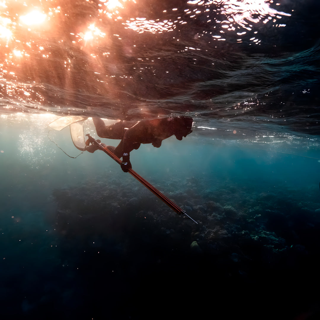 Beginner Spearfishing Retreat Course