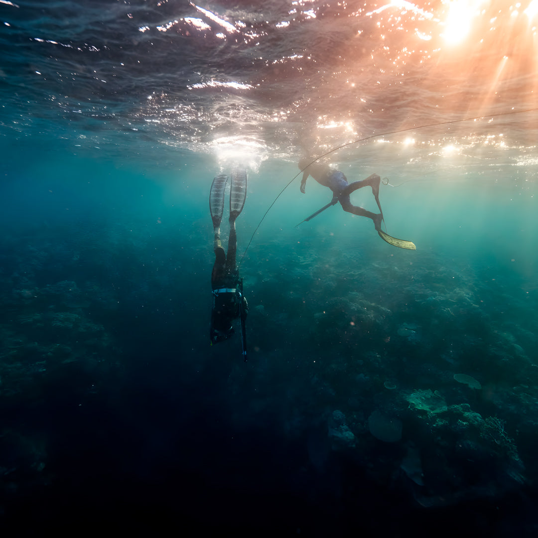 Beginner Spearfishing Retreat Course