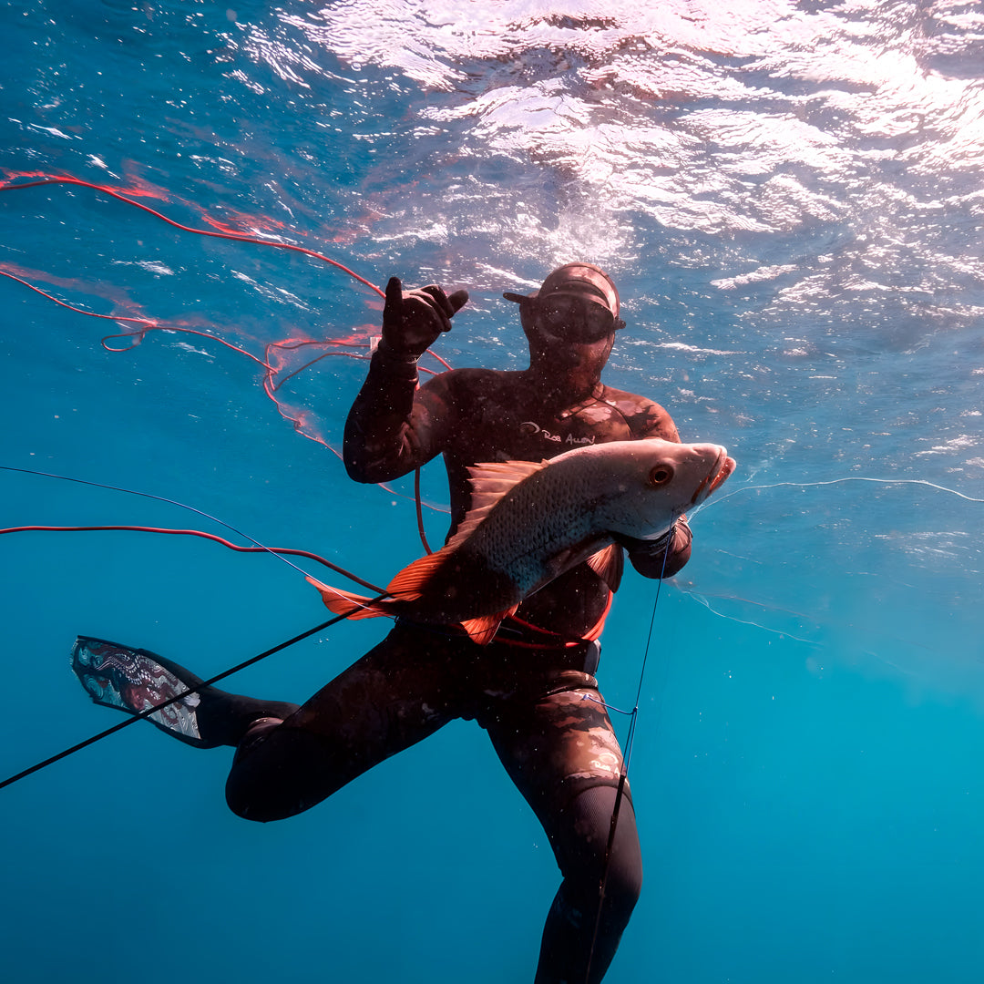 Beginner Spearfishing Retreat Course