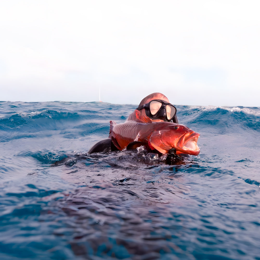 Beginner Spearfishing Retreat Course