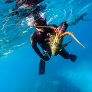 Beginner Spearfishing Retreat Course