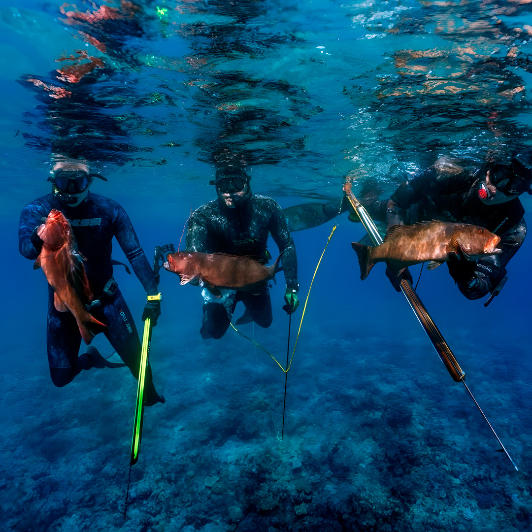 Beginner Spearfishing Retreat Course