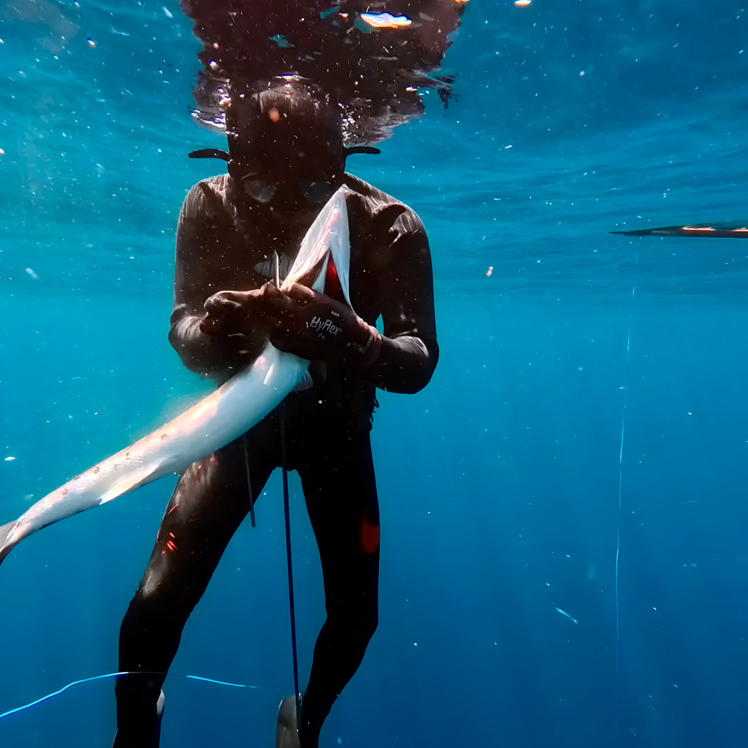 North Bali Spearfishing Trip