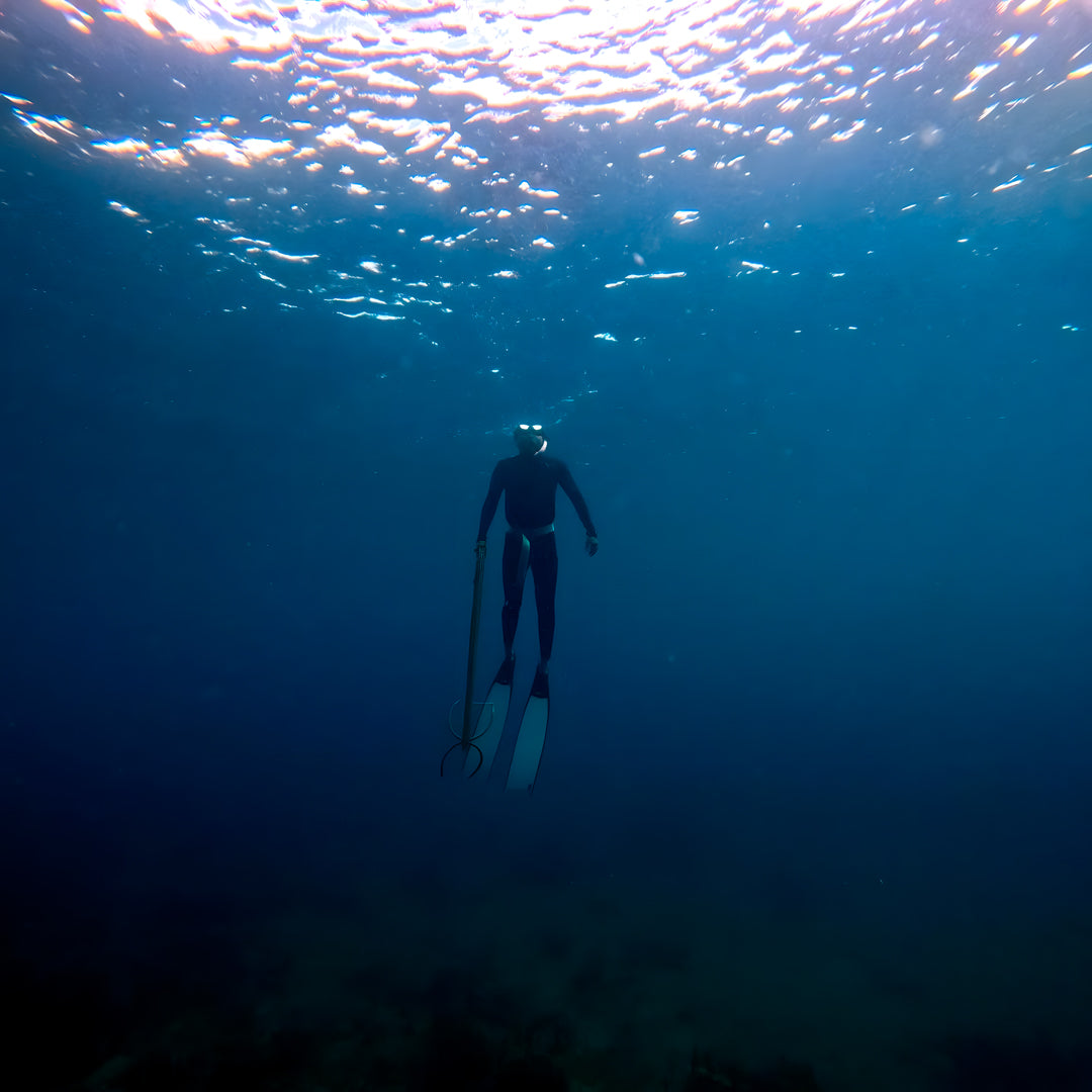 North Bali Spearfishing Trip