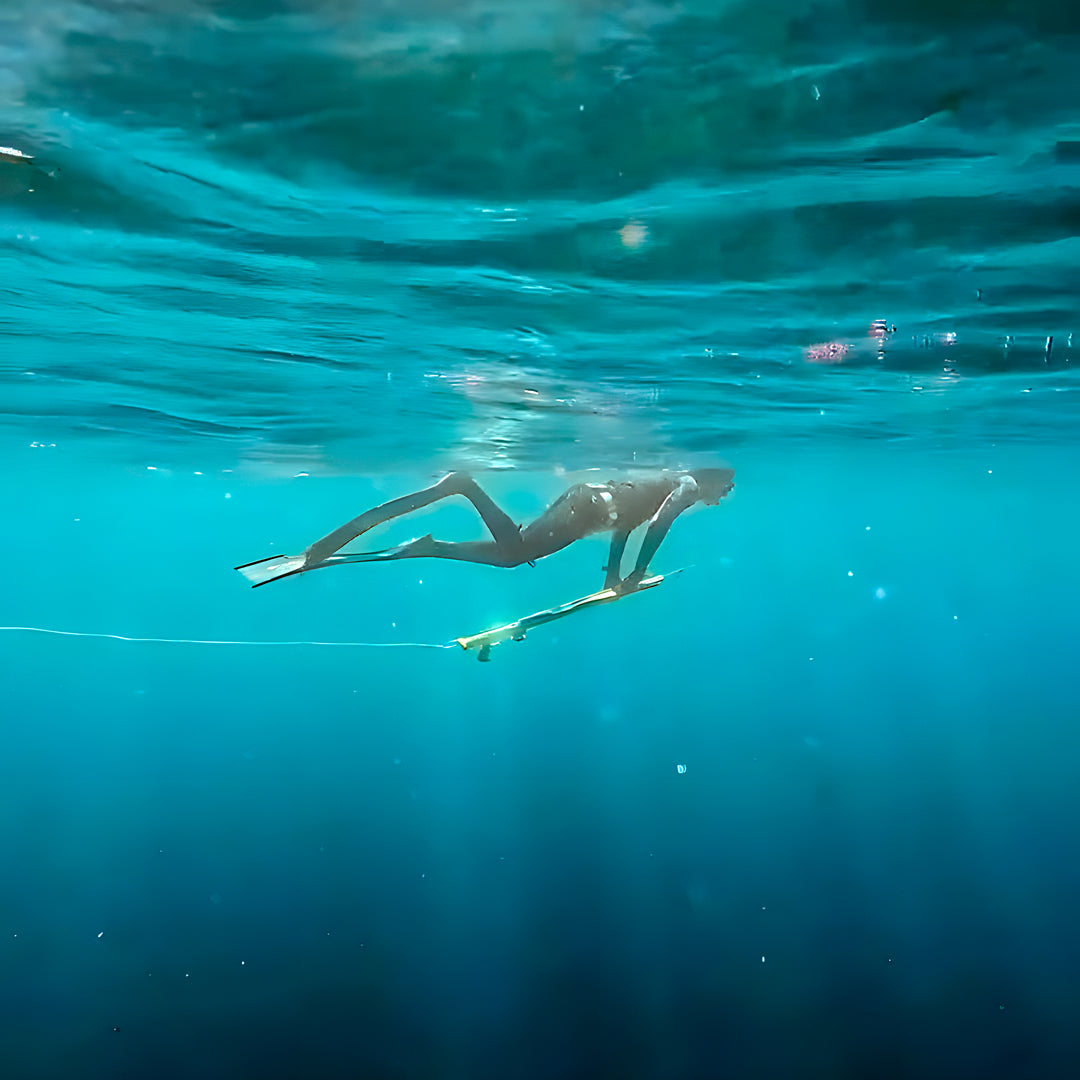 North Bali Spearfishing Trip