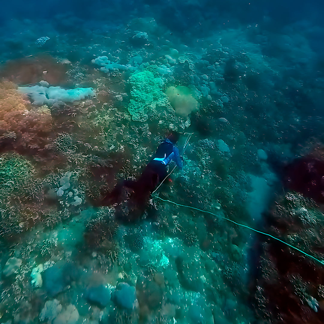 North Bali Spearfishing Trip