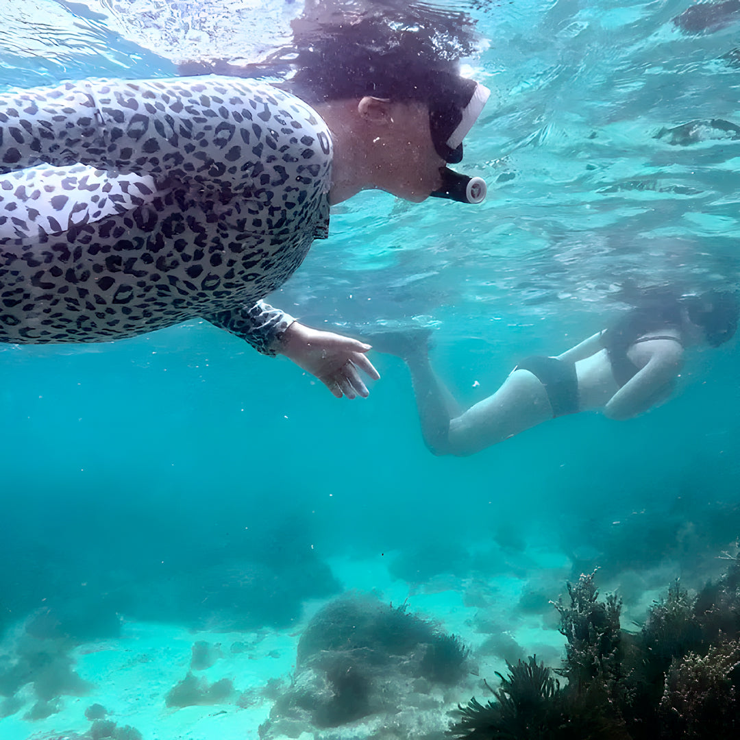 Fly Point Marine Reserve Guided Snorkel Tour