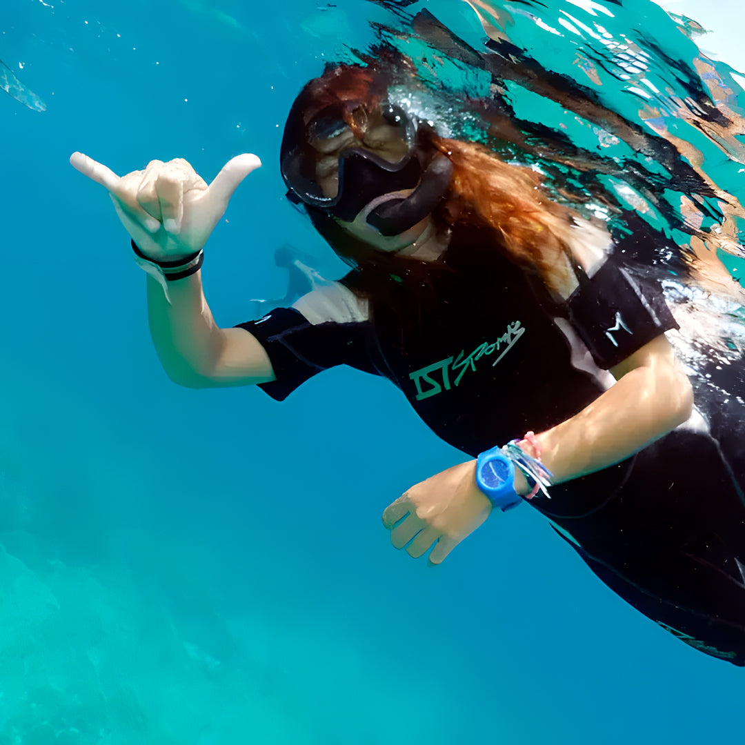 Fly Point Marine Reserve Guided Snorkel Tour