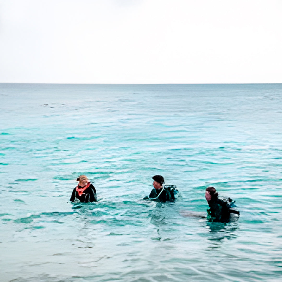Introduction to Scuba Diving in Shoal Bay
