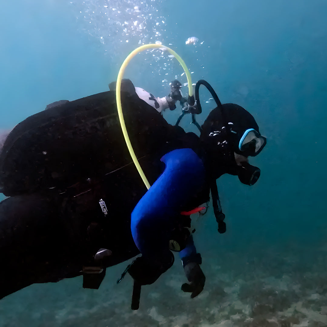 Port Stephens Guided Scuba Diving Fun Dive