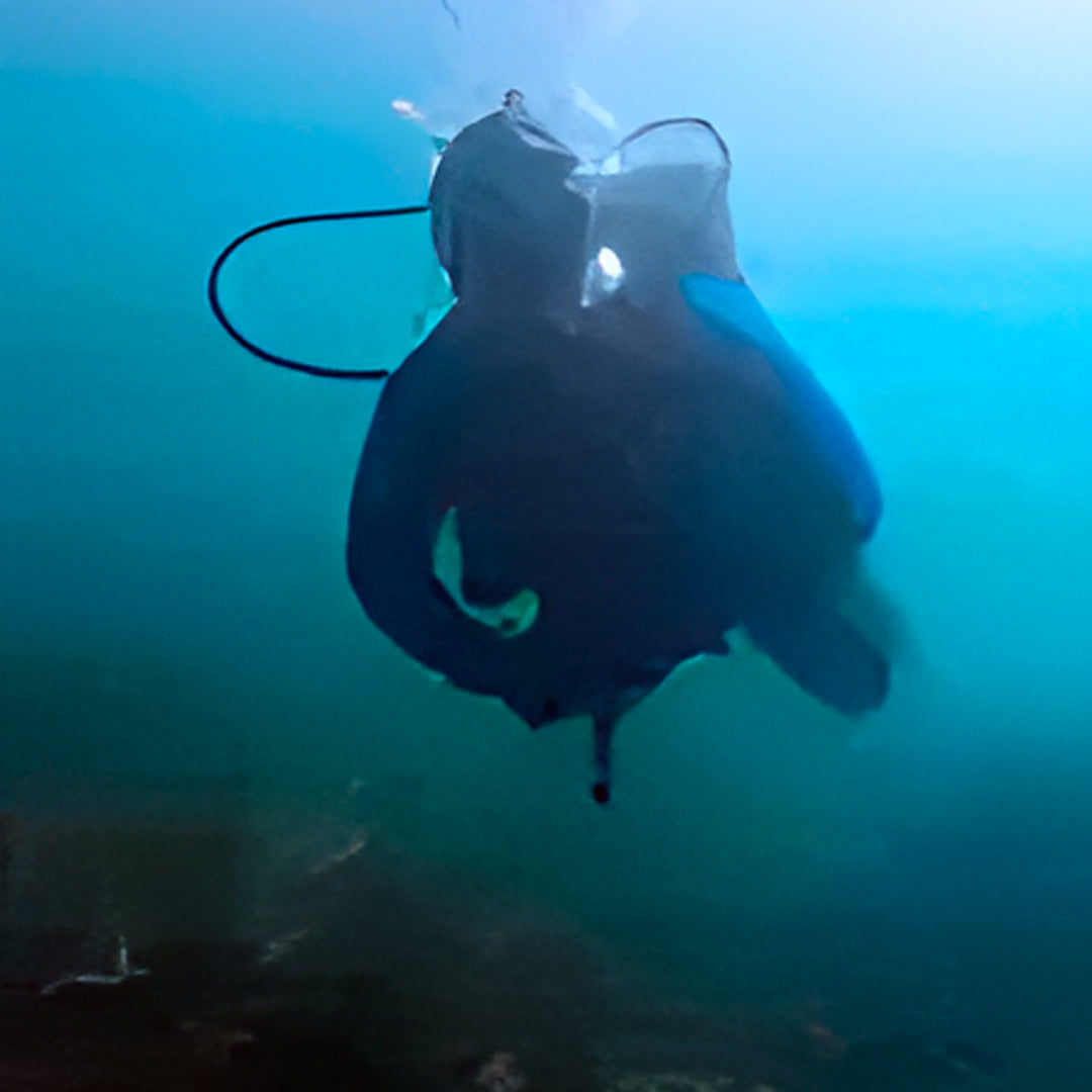 Port Stephens Guided Scuba Diving Fun Dive