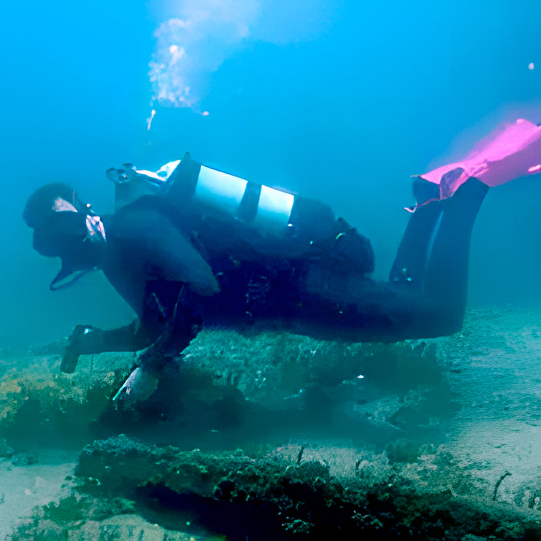 Port Stephens Guided Scuba Diving Fun Dive