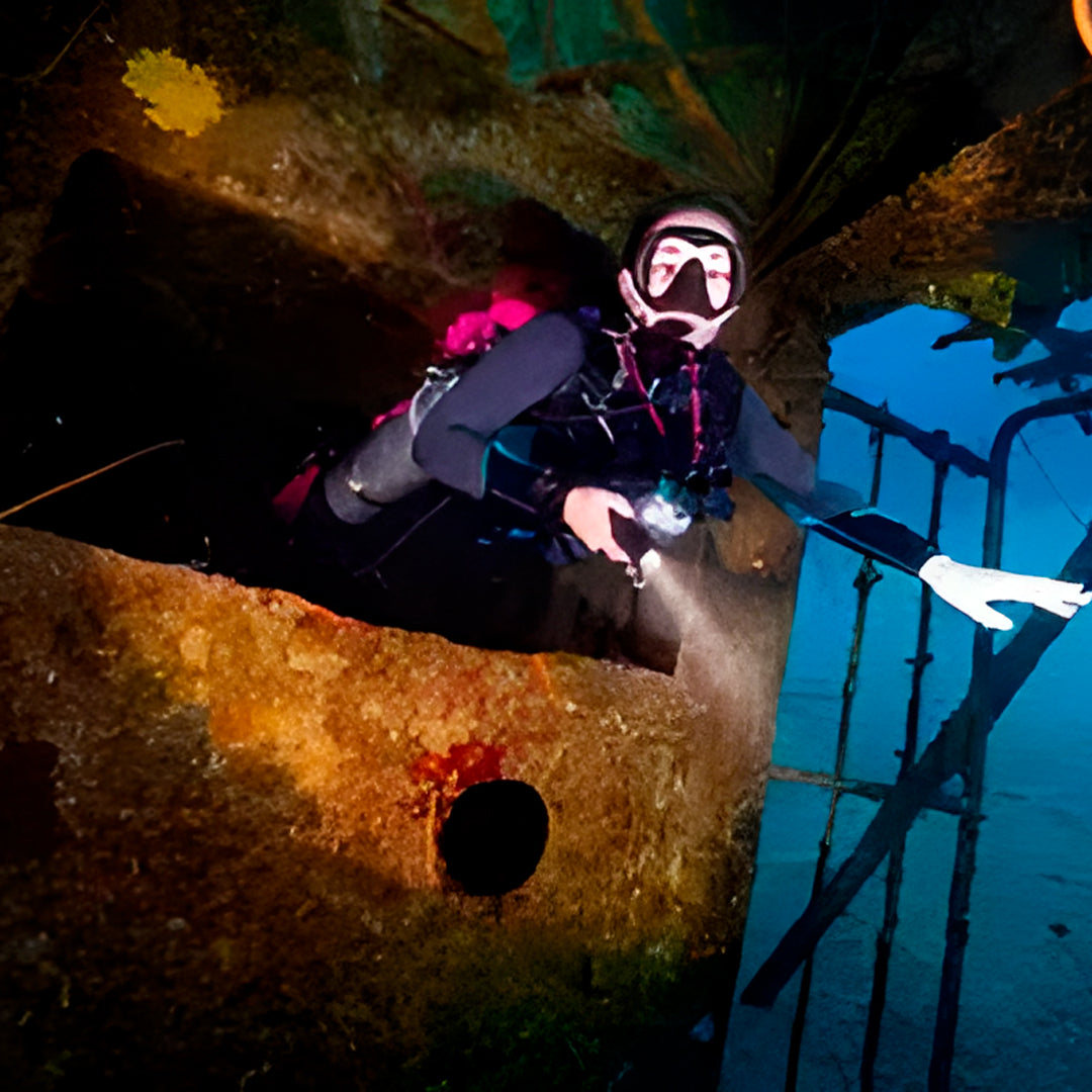 Port Stephens Guided Scuba Diving Fun Dive