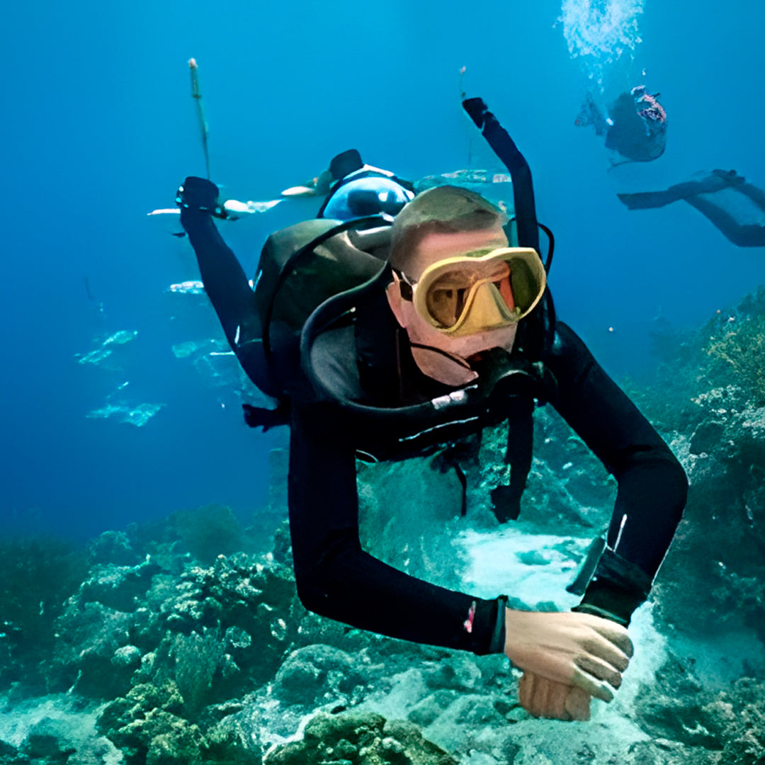 Fly Point Marine Reserve Guided Snorkel Tour
