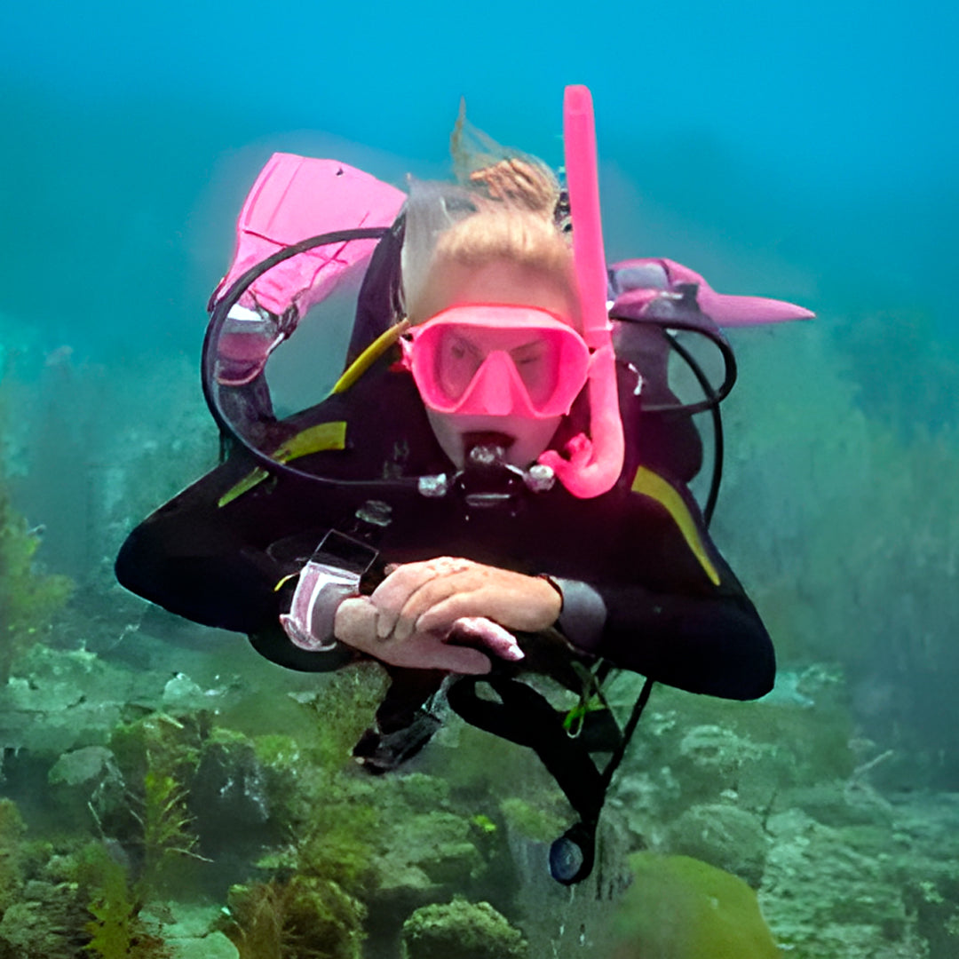 Port Stephens Guided Scuba Diving Fun Dive