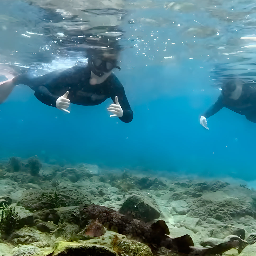 Flow to Depth Yoga & Freedive Line Training