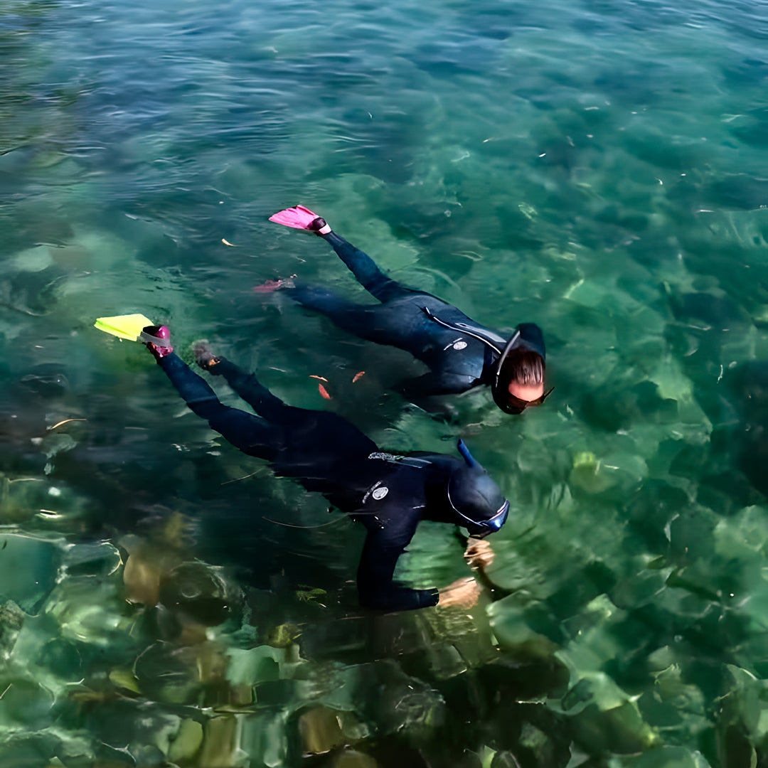 Open Water Scuba Certification in Port Stephens