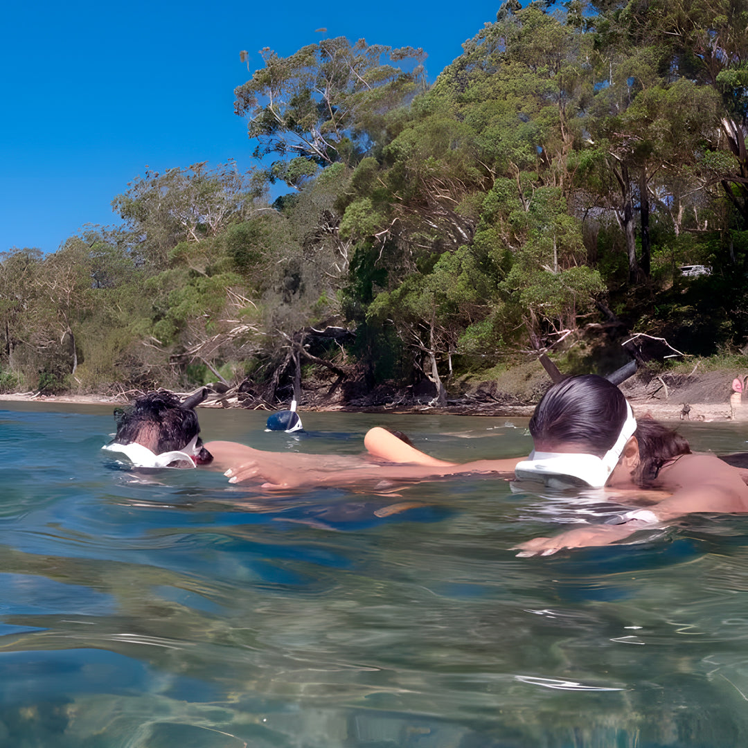 Beginner Freediver Course in Port Stephens