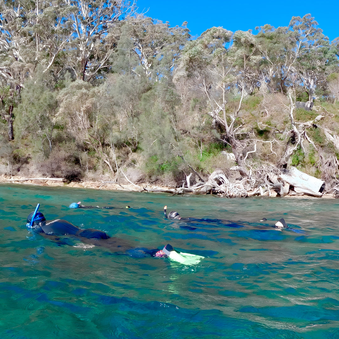 Beginner Freediver Course in Port Stephens