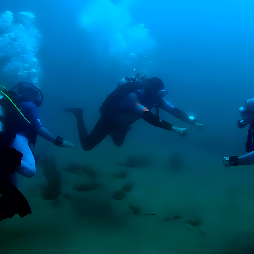 Flow to Depth Yoga & Freedive Line Training