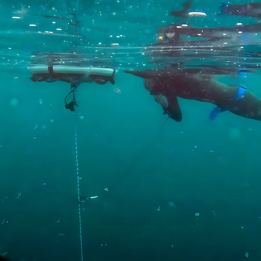 Flow to Depth Yoga & Freedive Line Training
