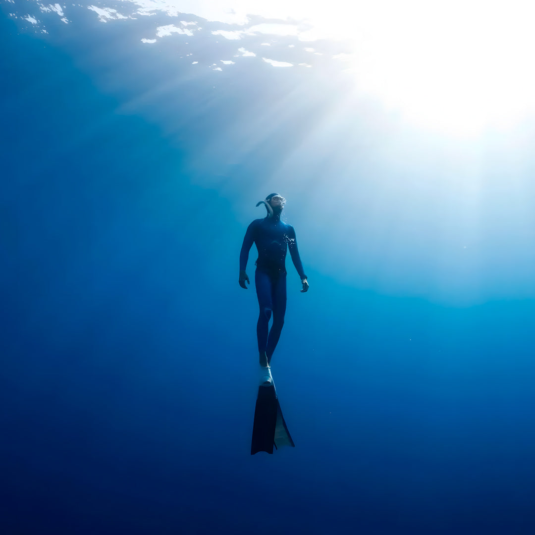 Beginner Freediver Course in Port Stephens