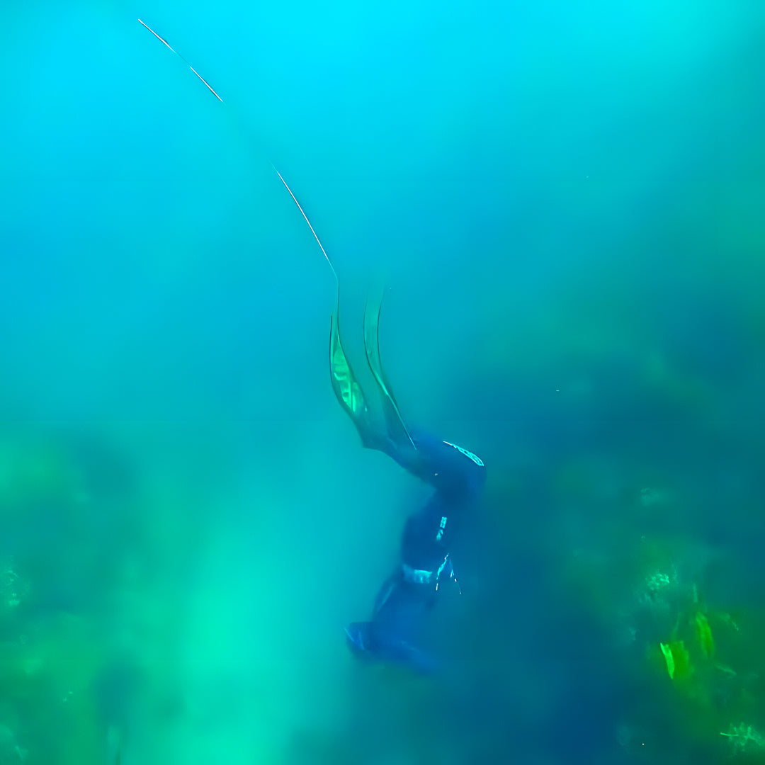 Beginner Freediver Course in Port Stephens