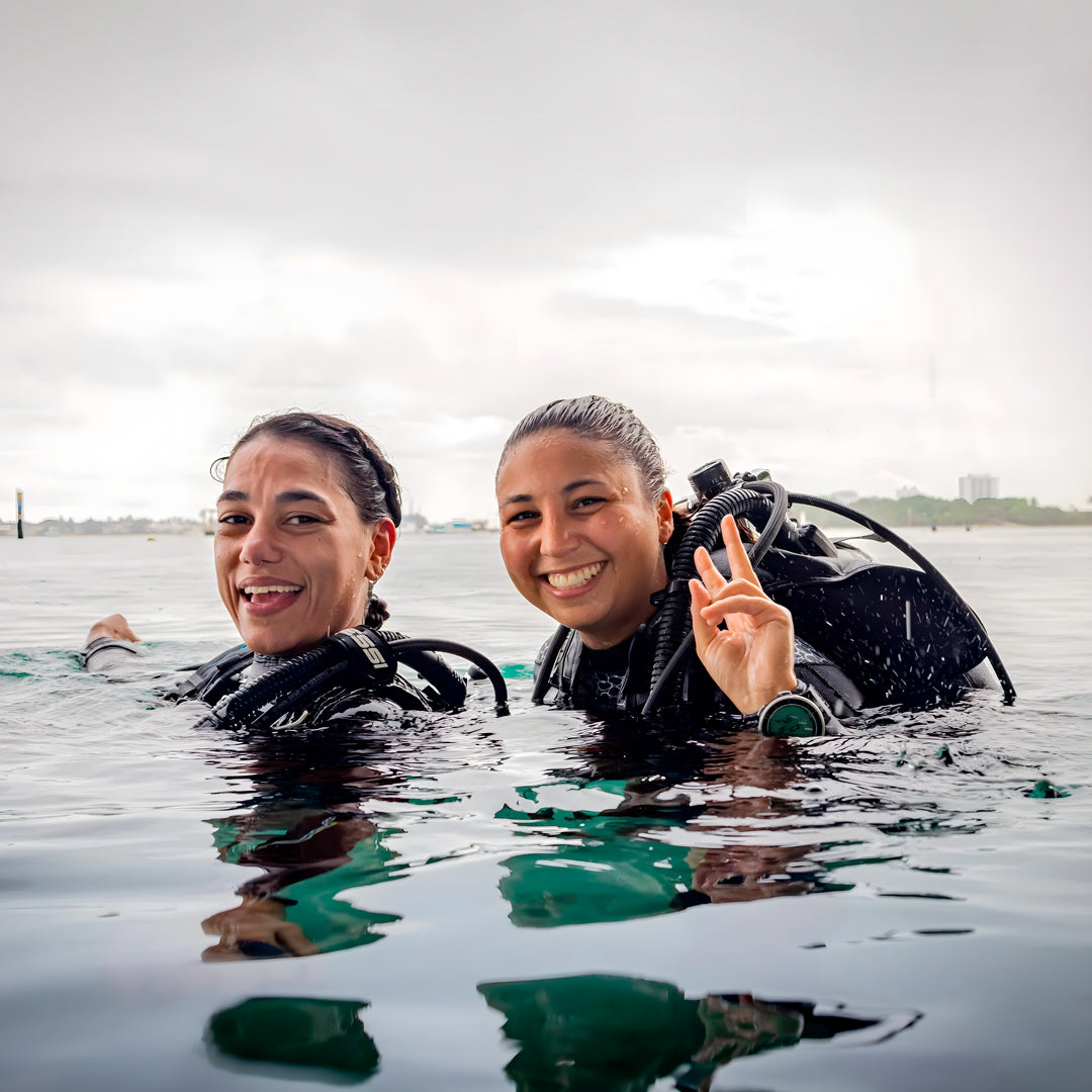 Beginner Freediver Course in Port Stephens