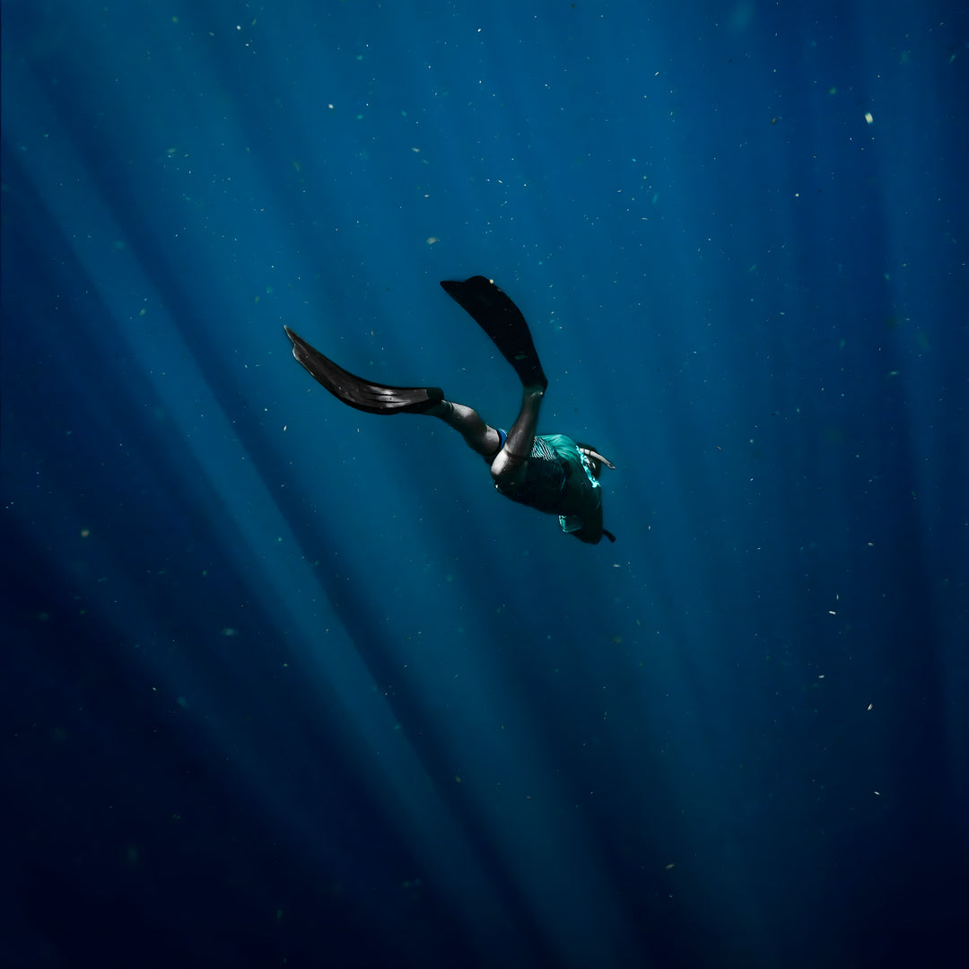 Open Water Scuba Certification in Port Stephens