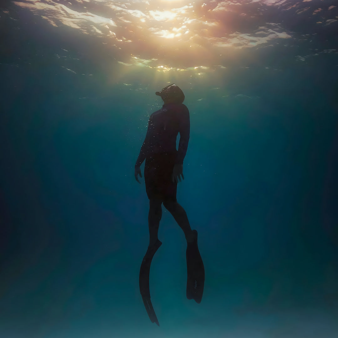 Beginner Freediver Course in Port Stephens