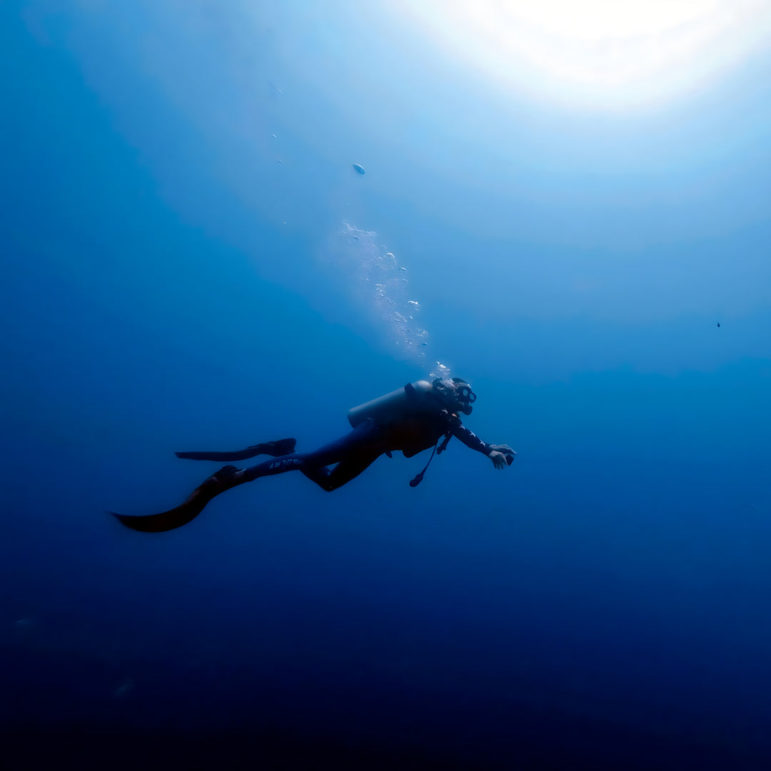 Open Water Scuba Certification in Port Stephens