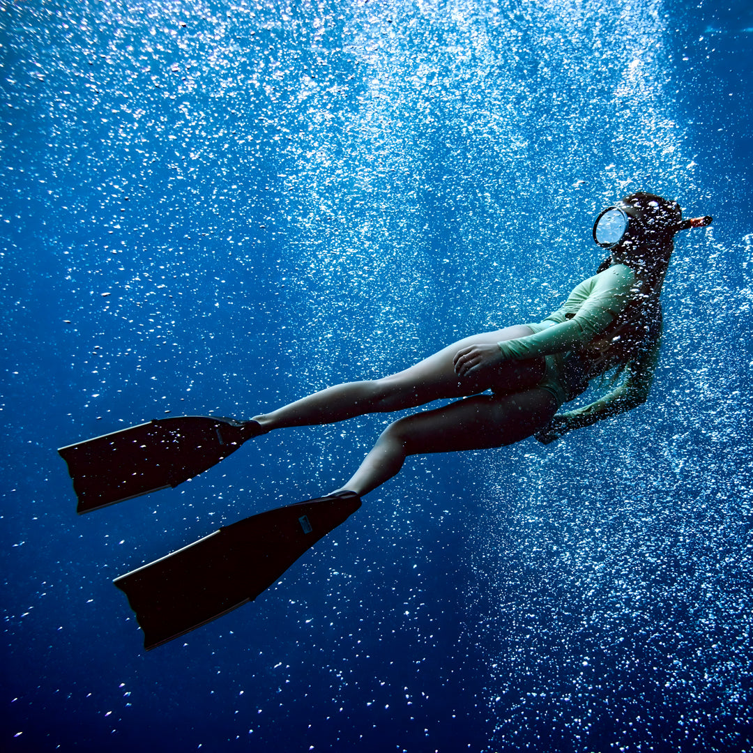 Beginner Freediver Course in Port Stephens