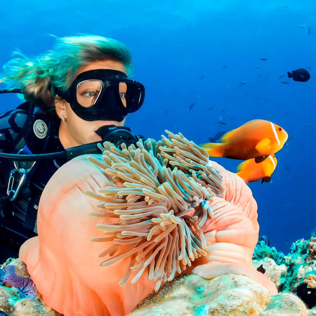 Flow to Depth Yoga & Freedive Line Training
